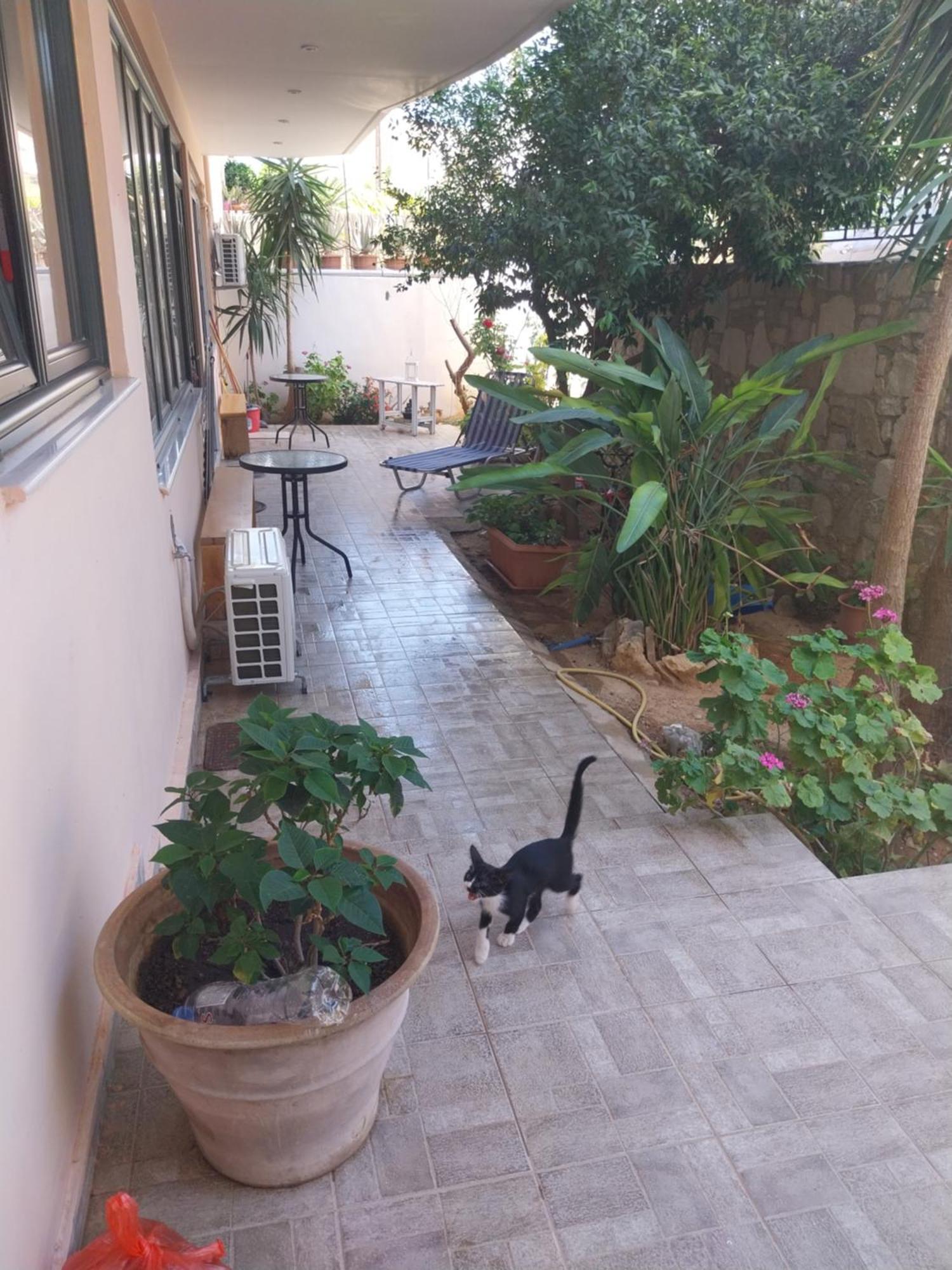 לרפטרה Folia Apartment מראה חיצוני תמונה